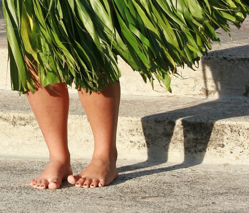Hawaiian Grass Skirt -  Canada